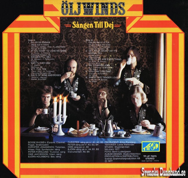 IJWINDS LP (1977) "Sngen till dej" B