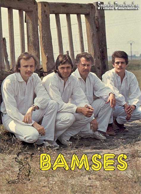 BAMSES