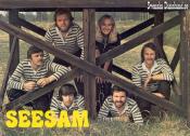 SEESAM (1981)