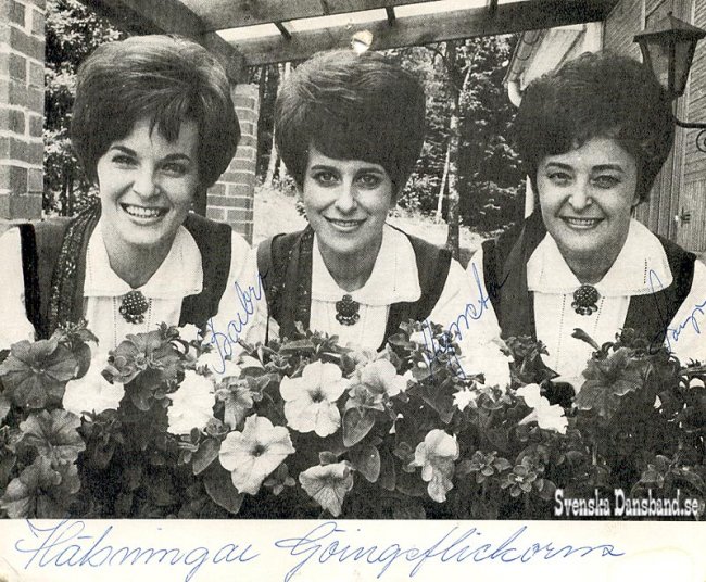GINGEFLICKORNA