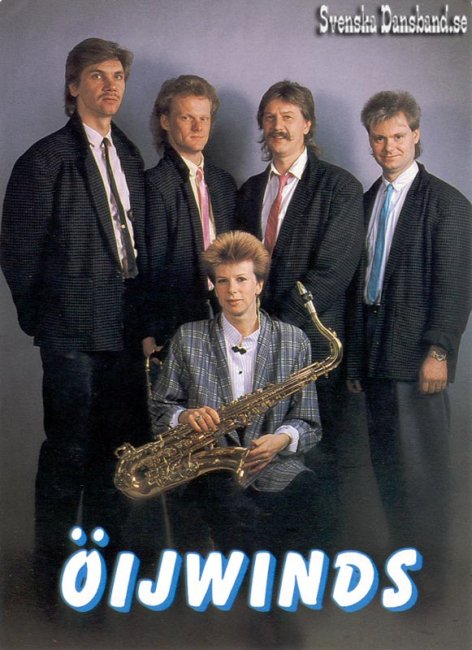 IJWINDS