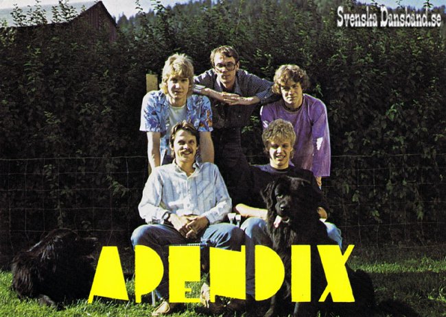 APENDIX