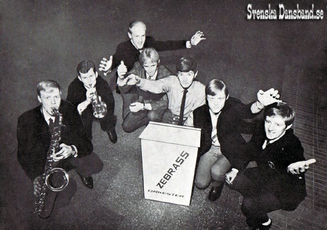 ZEBRASS