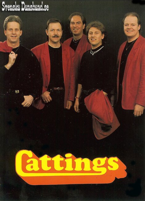 CATTINGS