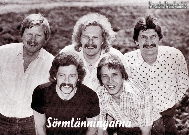 SRMLNNINGARNA