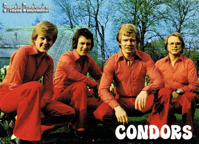 CONDORS