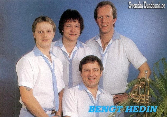 BENGT HEDINS