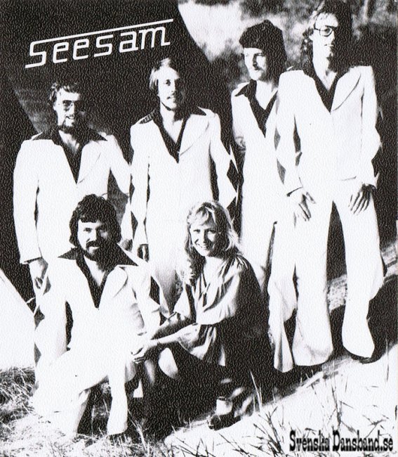 SEESAM