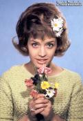 LILL-BABS (1967)