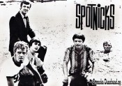 THE SPOTNICKS