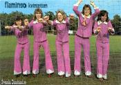 FLAMINGOKVINTETTEN (1975) FLAMINGOKVINTETTEN (1975)