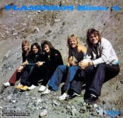 FLAMINGOKVINTETTEN LP (1975) "Flamingos bsta 4" A