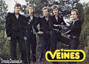 VEINES