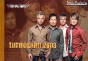ARVINGARNA (2003)