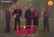 WIGGS