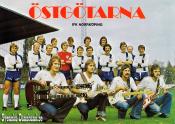 STGTARNA (1977)