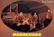BARACUDAZ (1978)