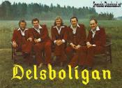 DELSBOLIGAN