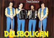 DELSBOLIGAN (1978)