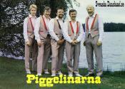 PIGGELINARNA