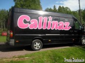 CALLINAZ TURNBUSS (2011)
