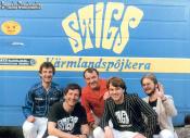STIGS