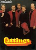 CATTINGS