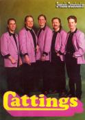 CATTINGS