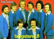 BERGSTENS 8