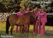 MATHZ RONNIES