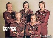 BERNTS (1977) BERNTS (1977)