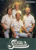 SJSAGRABBARNA (1982)