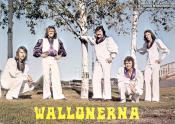 WALLONERNA