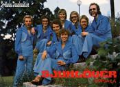 SJUKLVER (1976)