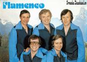 FLAMENCO FLAMENCO