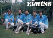 ELWNS