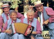 BRIXES