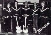 MINGOS