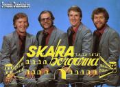 SKARABORGARNA