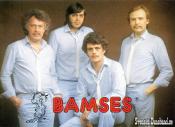 BAMSES