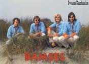 BAMSES